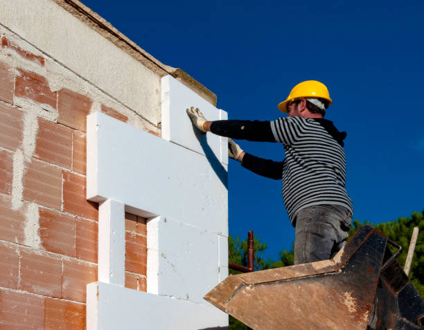 Best Commercial Insulation in Murillo, TX