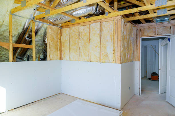 Best Insulation for Specific Applications in Murillo, TX