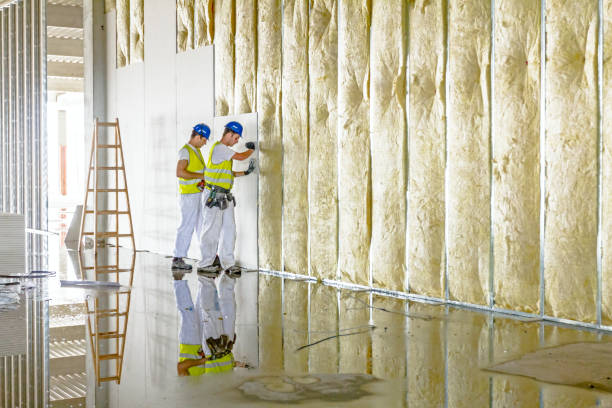 Best Types of Insulation in Murillo, TX